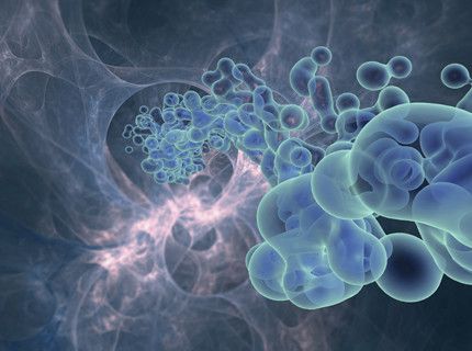 eMPowered™ Raw Materials from MP Biomedicals